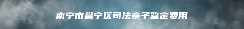 南宁市邕宁区司法亲子鉴定费用