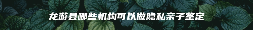 龙游县哪些机构可以做隐私亲子鉴定