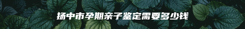 扬中市孕期亲子鉴定需要多少钱