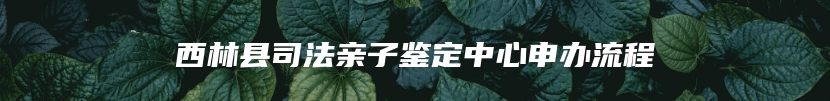 西林县司法亲子鉴定中心申办流程