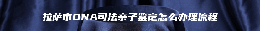拉萨市DNA司法亲子鉴定怎么办理流程