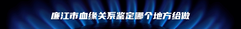 廉江市血缘关系鉴定哪个地方给做