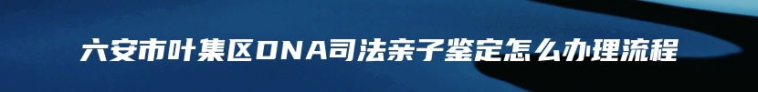 六安市叶集区DNA司法亲子鉴定怎么办理流程