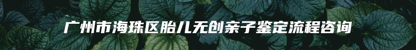 广州市海珠区胎儿无创亲子鉴定流程咨询