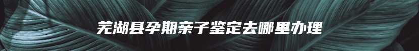 芜湖县孕期亲子鉴定去哪里办理