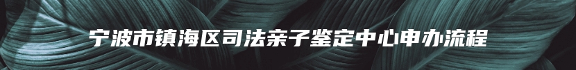 宁波市镇海区司法亲子鉴定中心申办流程