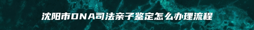 沈阳市DNA司法亲子鉴定怎么办理流程