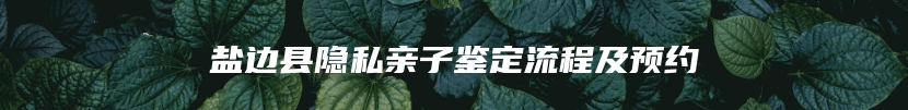 盐边县隐私亲子鉴定流程及预约