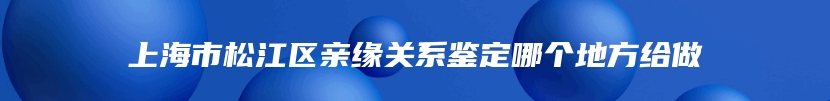 上海市松江区亲缘关系鉴定哪个地方给做