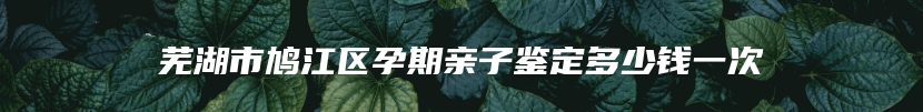 芜湖市鸠江区孕期亲子鉴定多少钱一次