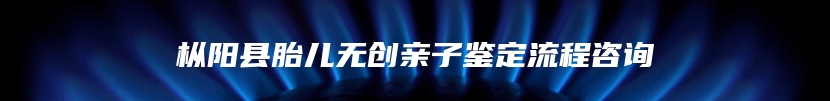 枞阳县胎儿无创亲子鉴定流程咨询