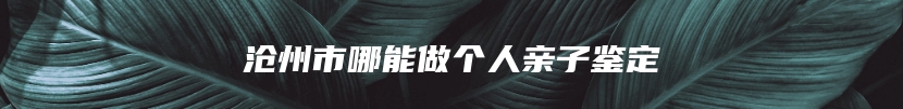 沧州市哪能做个人亲子鉴定
