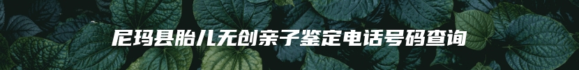 尼玛县胎儿无创亲子鉴定电话号码查询