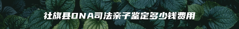 社旗县DNA司法亲子鉴定多少钱费用