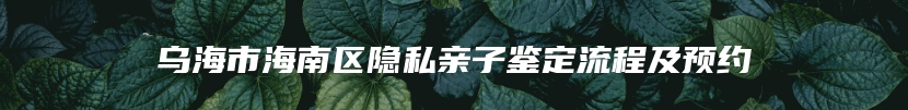 乌海市海南区隐私亲子鉴定流程及预约