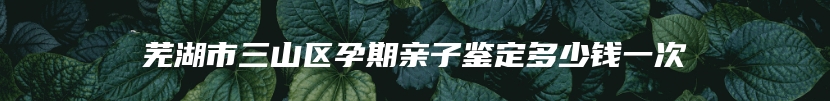 芜湖市三山区孕期亲子鉴定多少钱一次