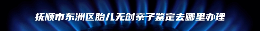 抚顺市东洲区胎儿无创亲子鉴定去哪里办理