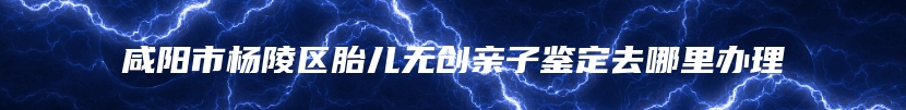 咸阳市杨陵区胎儿无创亲子鉴定去哪里办理