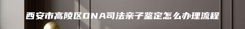 西安市高陵区DNA司法亲子鉴定怎么办理流程