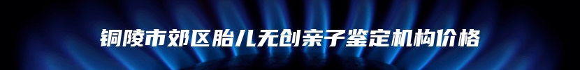 铜陵市郊区胎儿无创亲子鉴定机构价格