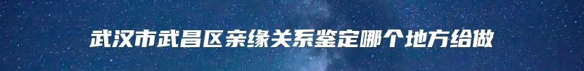 武汉市武昌区亲缘关系鉴定哪个地方给做