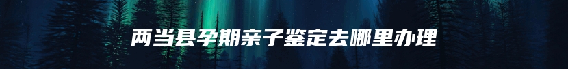 两当县孕期亲子鉴定去哪里办理