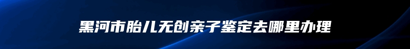 黑河市胎儿无创亲子鉴定去哪里办理