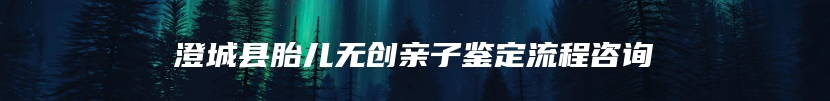 澄城县胎儿无创亲子鉴定流程咨询
