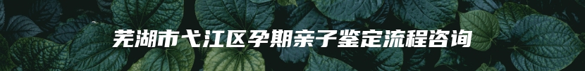 芜湖市弋江区孕期亲子鉴定流程咨询