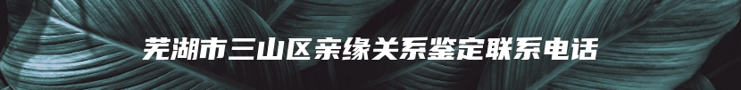 芜湖市三山区亲缘关系鉴定联系电话