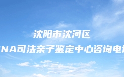沈阳市和平区DNA司法亲子鉴定正规机构电话