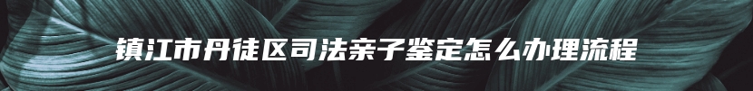 镇江市丹徒区司法亲子鉴定怎么办理流程