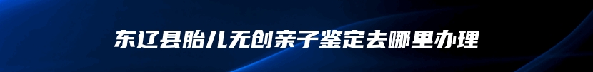 东辽县胎儿无创亲子鉴定去哪里办理