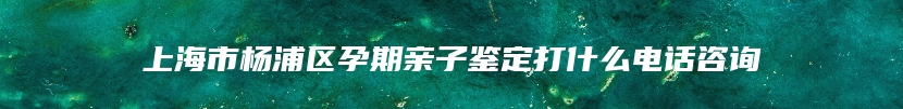 上海市杨浦区孕期亲子鉴定打什么电话咨询