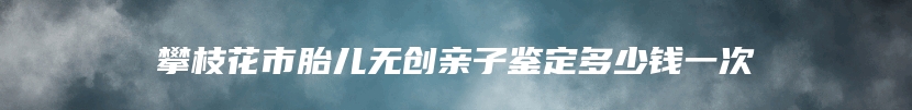 攀枝花市胎儿无创亲子鉴定多少钱一次