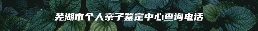 芜湖市个人亲子鉴定中心查询电话