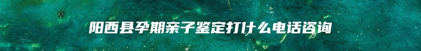 阳西县孕期亲子鉴定打什么电话咨询
