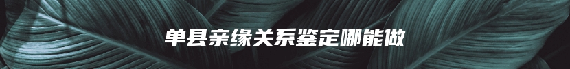 单县亲缘关系鉴定哪能做