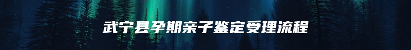 武宁县孕期亲子鉴定受理流程