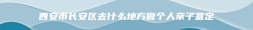 西安市长安区去什么地方做个人亲子鉴定