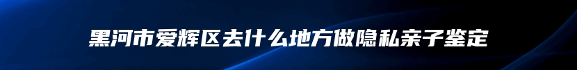 黑河市爱辉区去什么地方做隐私亲子鉴定