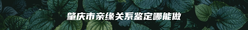肇庆市亲缘关系鉴定哪能做