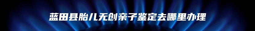 蓝田县胎儿无创亲子鉴定去哪里办理