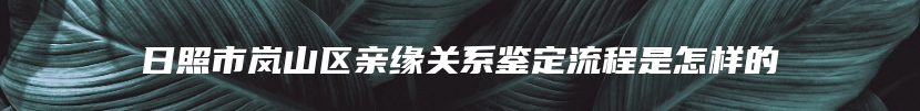 日照市岚山区亲缘关系鉴定流程是怎样的