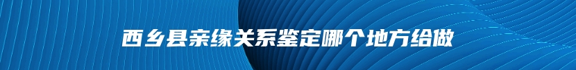 西乡县亲缘关系鉴定哪个地方给做