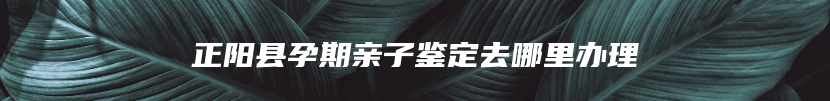 正阳县孕期亲子鉴定去哪里办理