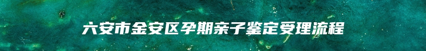 六安市金安区孕期亲子鉴定受理流程