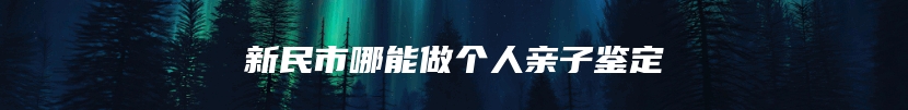 新民市哪能做个人亲子鉴定