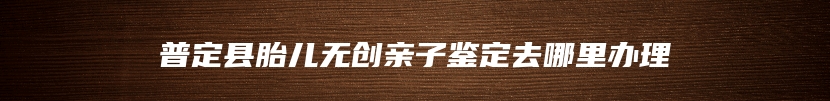 普定县胎儿无创亲子鉴定去哪里办理