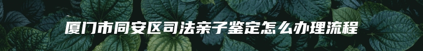 厦门市同安区司法亲子鉴定怎么办理流程